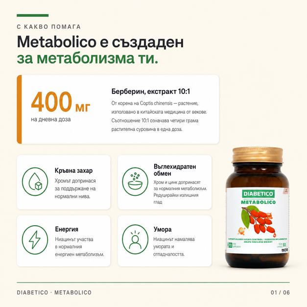 Диабетико за диабет и инсулинова резистентност